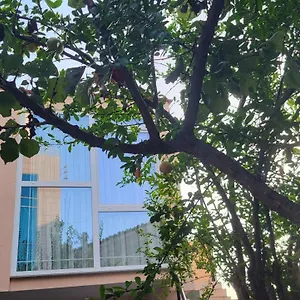 Karanxha's , Tirana Albania